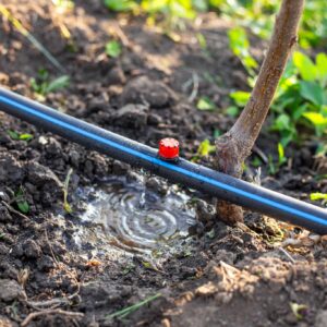 Solutions d'Irrigation